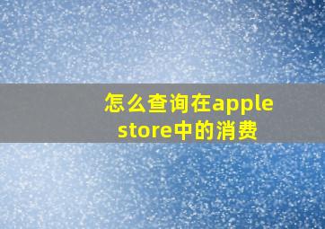 怎么查询在apple store中的消费